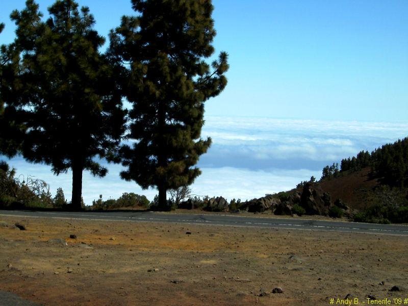 Découverte de Tenerife (24).JPG